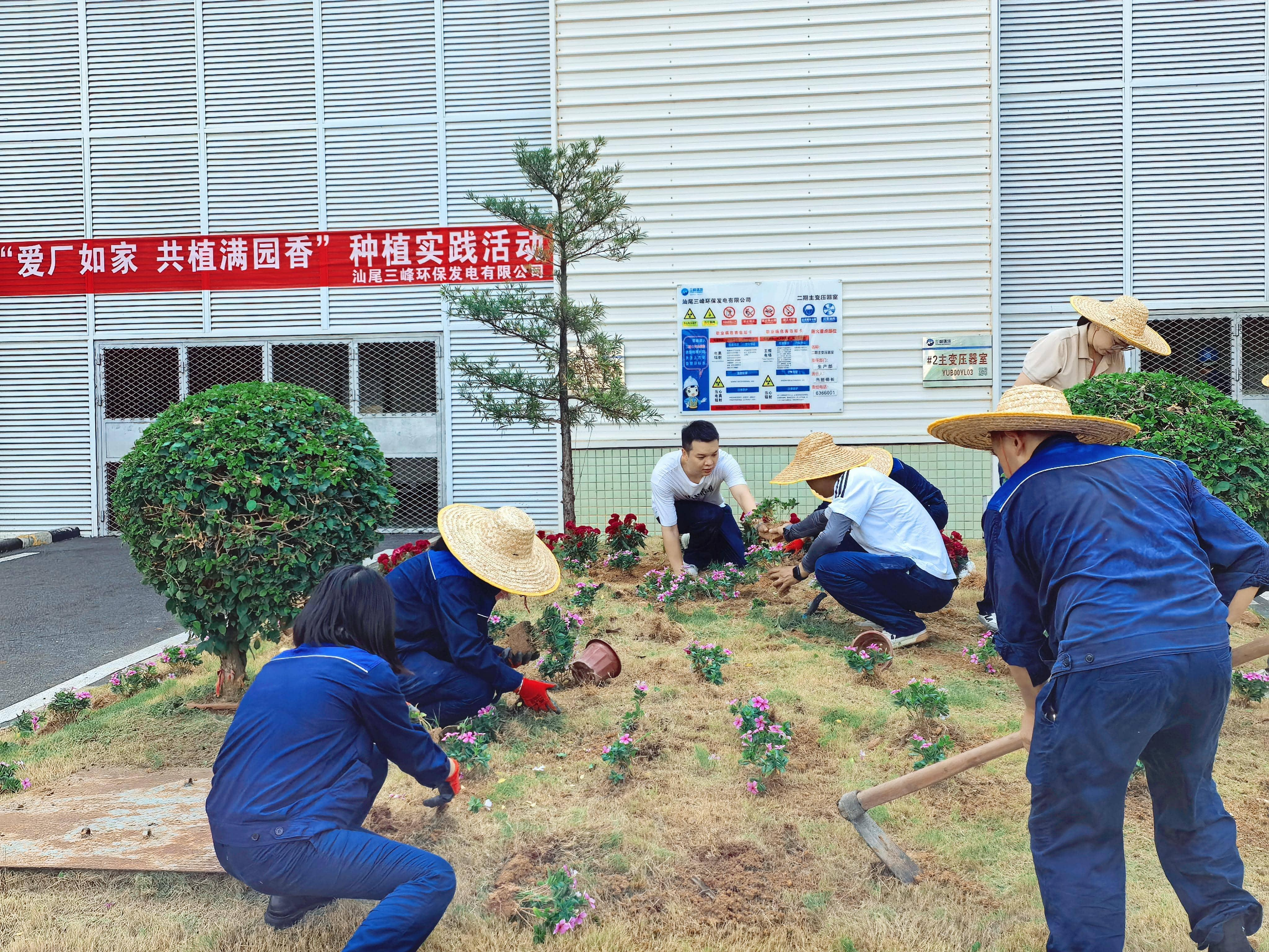 種植實踐活動.png