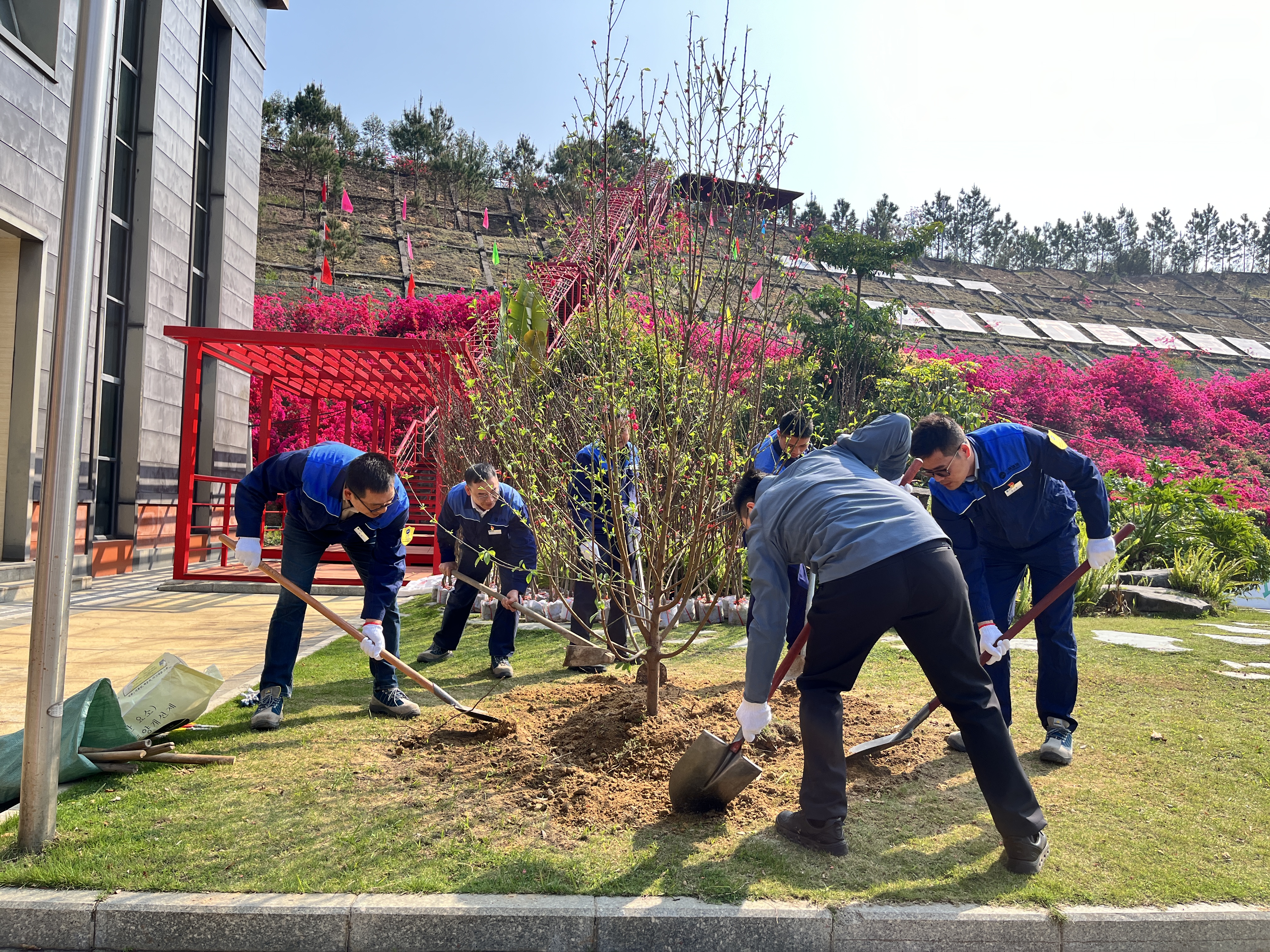 職工在廠區池塘邊種下首科桃樹.jpg